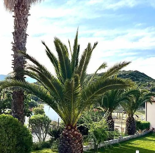 Palma Deluxe House Szárti