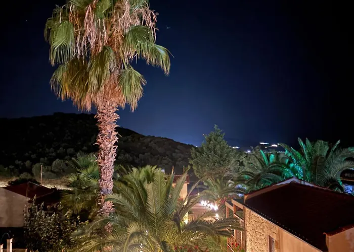 Palma Deluxe House Szárti