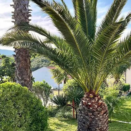 Villa Palma Deluxe House