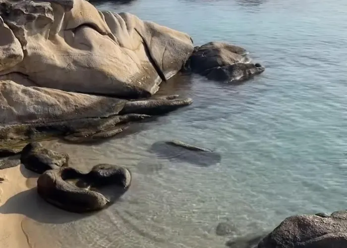 Βίλα Palma Deluxe House *